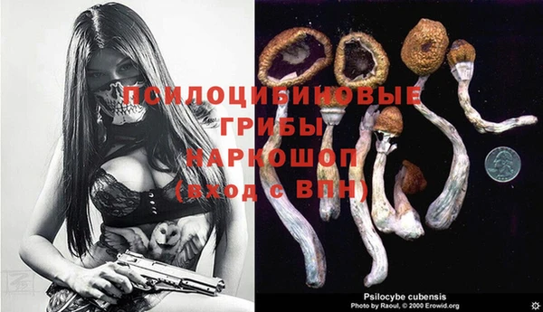 дурь Алзамай