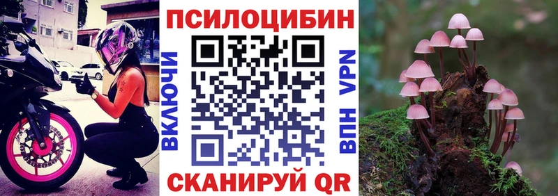дарнет шоп  Татарск  Галлюциногенные грибы Psilocybe 
